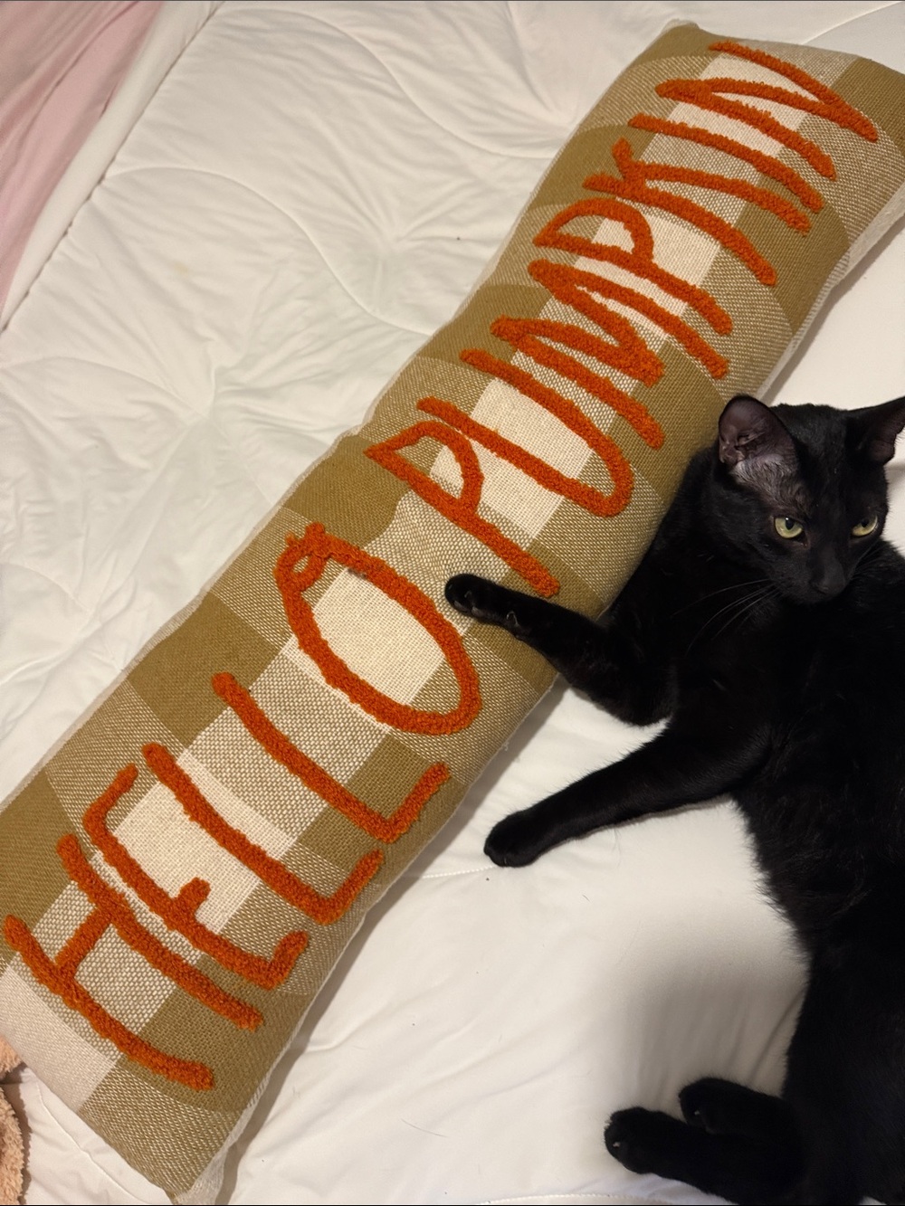 Puma Beige and Orange Plaid Lumbar Pillow
